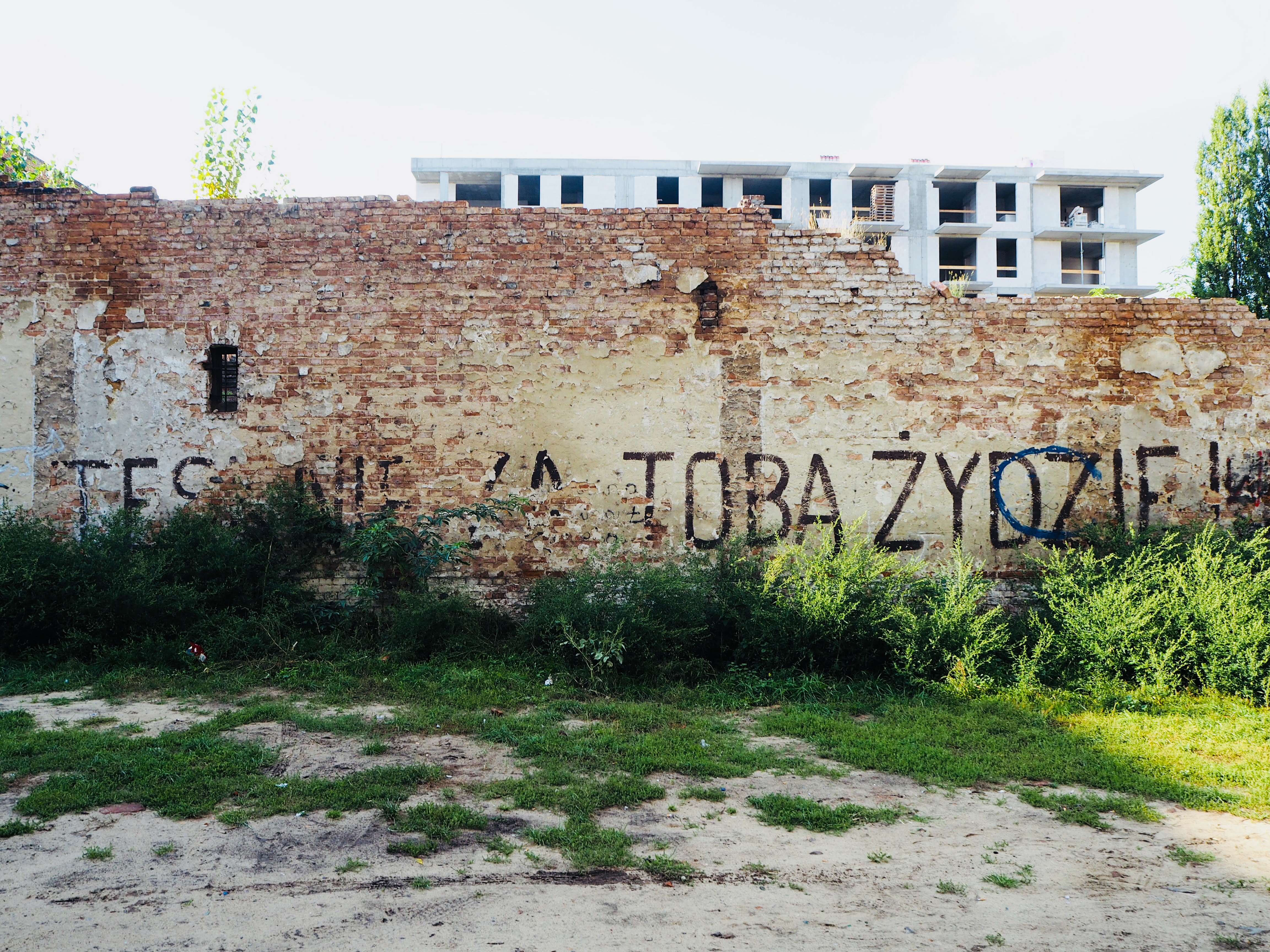 napis na murze: tęsknię za Tobą Żydzie