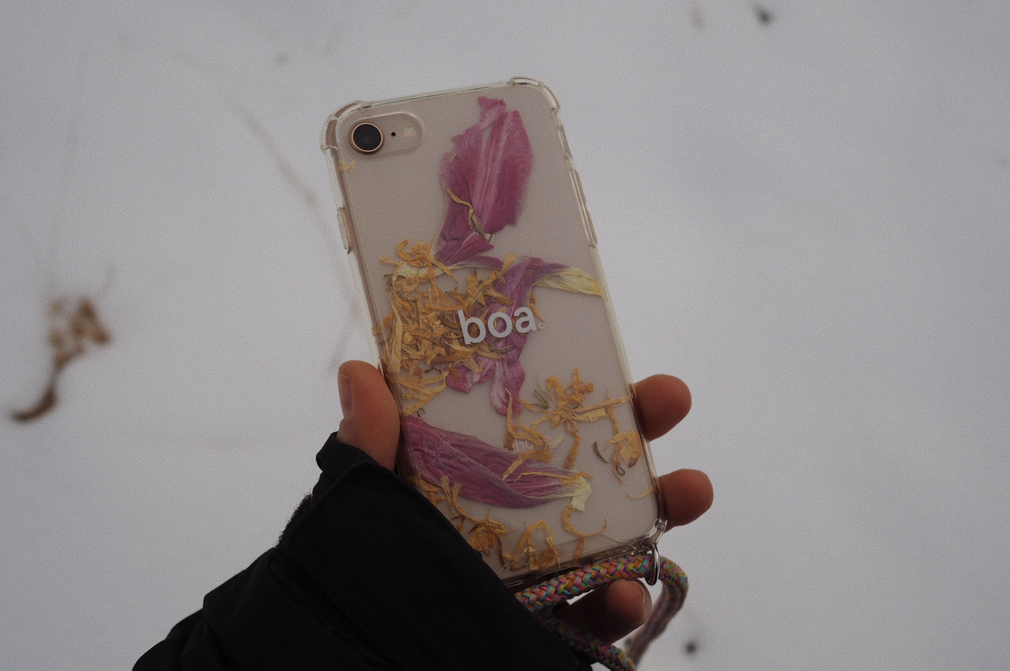boa case iphone